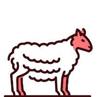 Carne de Pavo